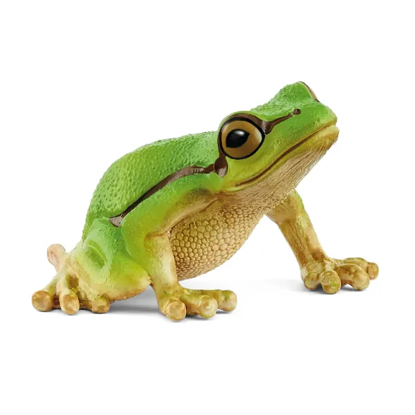 Europäischer Laubfrosch